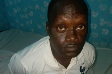 Trafic d’ivoire : Un cinquantenaire pris en flagrant délit à Oyem