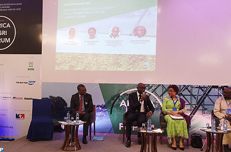 Révolution agricole africaine : Libreville en creuset